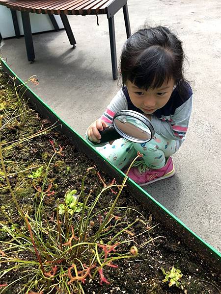 87IMG_3791.JPG 87IMG_3791.JPG