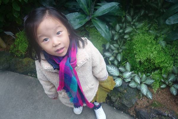 82DSC06787.JPG 82DSC06787.JPG