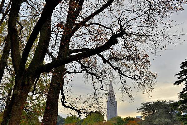 86DSC_9218.JPG 86DSC_9218.JPG