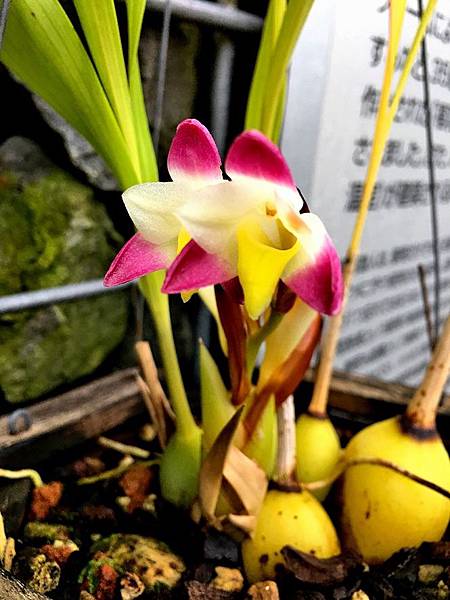 81IMG_7212.JPG 81IMG_7212.JPG