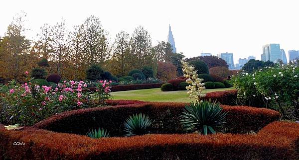 91DSC06819.JPG 91DSC06819.JPG