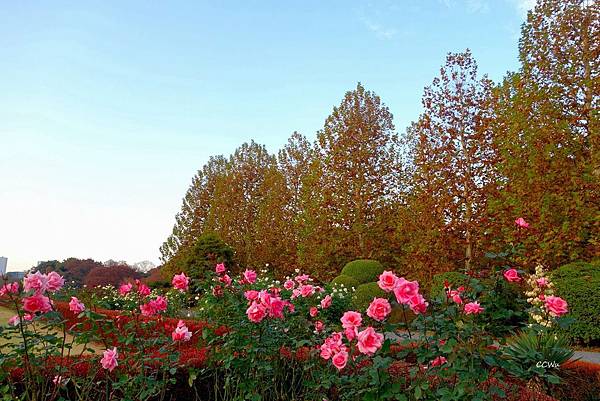 94DSC06827.JPG 94DSC06827.JPG