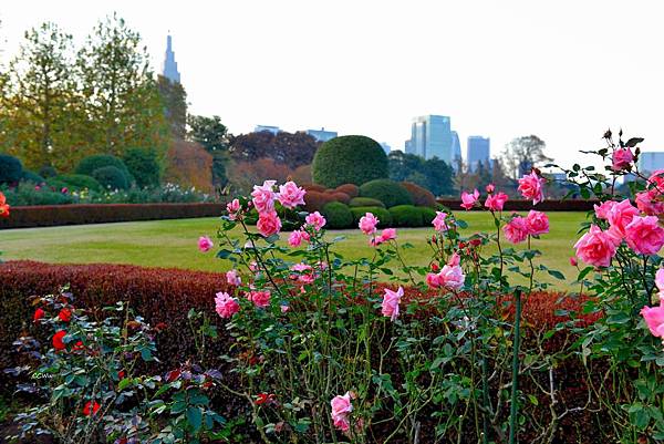 90DSC_9286.JPG 90DSC_9286.JPG