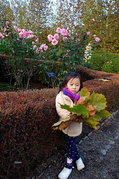 93DSC06825.JPG 93DSC06825.JPG