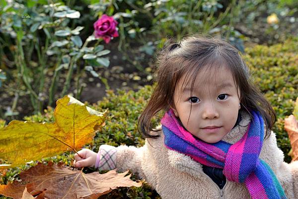 92DSC_9276.JPG 92DSC_9276.JPG