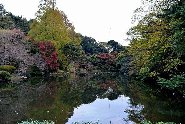 97DSC_9312.JPG 97DSC_9312.JPG