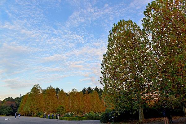 96DSC_9299.JPG 96DSC_9299.JPG