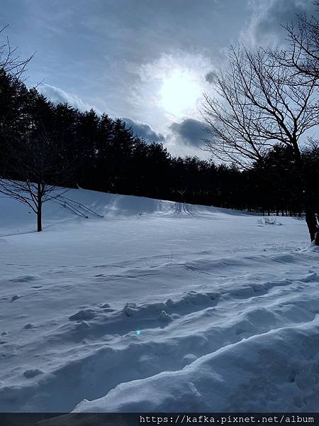 13IMG_6634.JPG 13IMG_6634.JPG