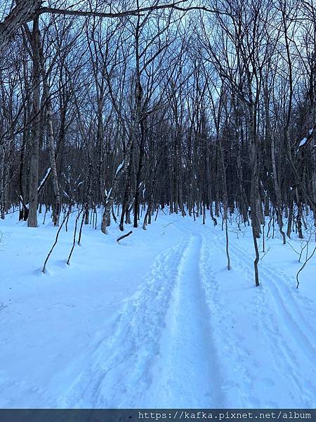 18IMG_6641.JPG 18IMG_6641.JPG