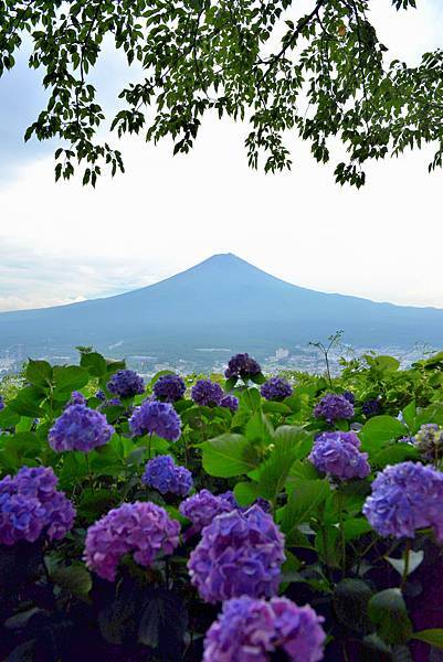 富士見_天上山護国神社.JPG 富士見_天上山護国神社.JPG