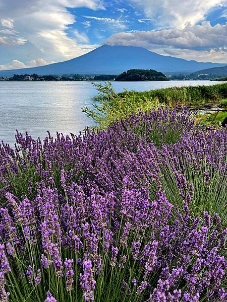 富士見_河口湖.JPG 富士見_河口湖.JPG