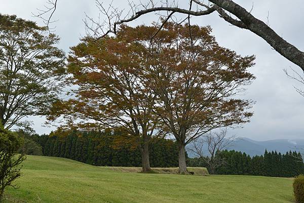 南九州_高千穗牧場.JPG 南九州_高千穗牧場.JPG