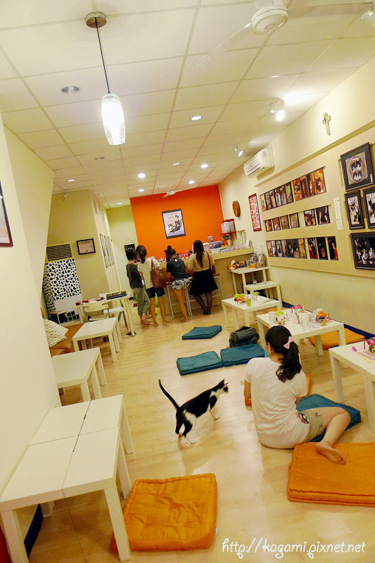 P1510472.jpg P1510472.jpg