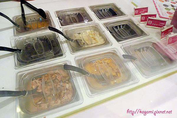 Hielo Frozen Yogurt 霜凍優格： 