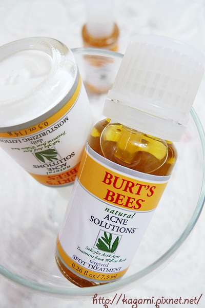 Burt's Bees（小蜜蜂爺爺)　清痘夫系列兩週試用組： http://kagami.pixnet.net/blog/post/26319298