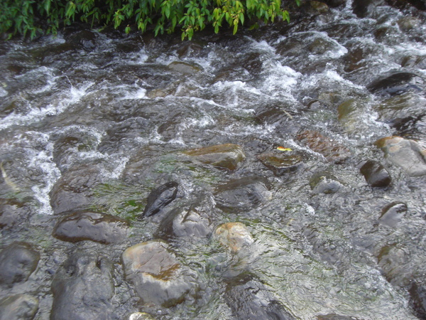 水流湍急呀