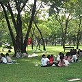 公園一堆人在野餐呢