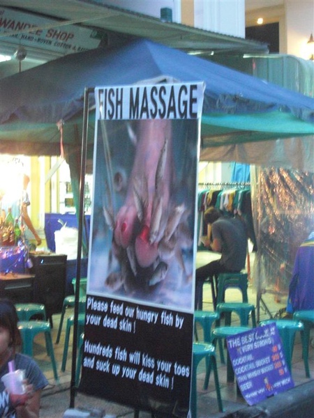 Fish Massage 很酷但是卻不想去試