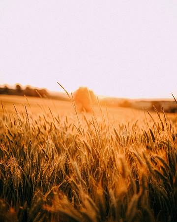 pexels-egecan-köse-8602917 (1).jpg