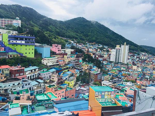 IMG_0995.jpg IMG_0995.jpg