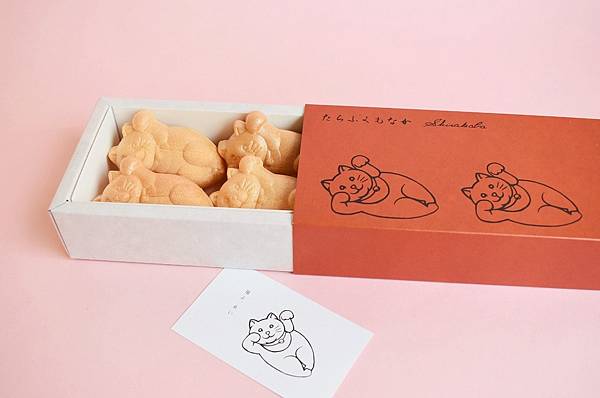 jXLPSvxkFX3KqvRJAFmYiKNvztga5rWBpPKaaPVJ jXLPSvxkFX3KqvRJAFmYiKNvztga5rWBpPKaaPVJ