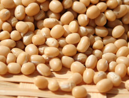 siroazu_up_260_6810 siroazu_up_260_6810