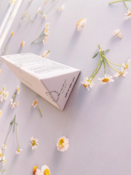 0136988a-651b-4e72-a40e-80e09f8905f7 0136988a-651b-4e72-a40e-80e09f8905f7