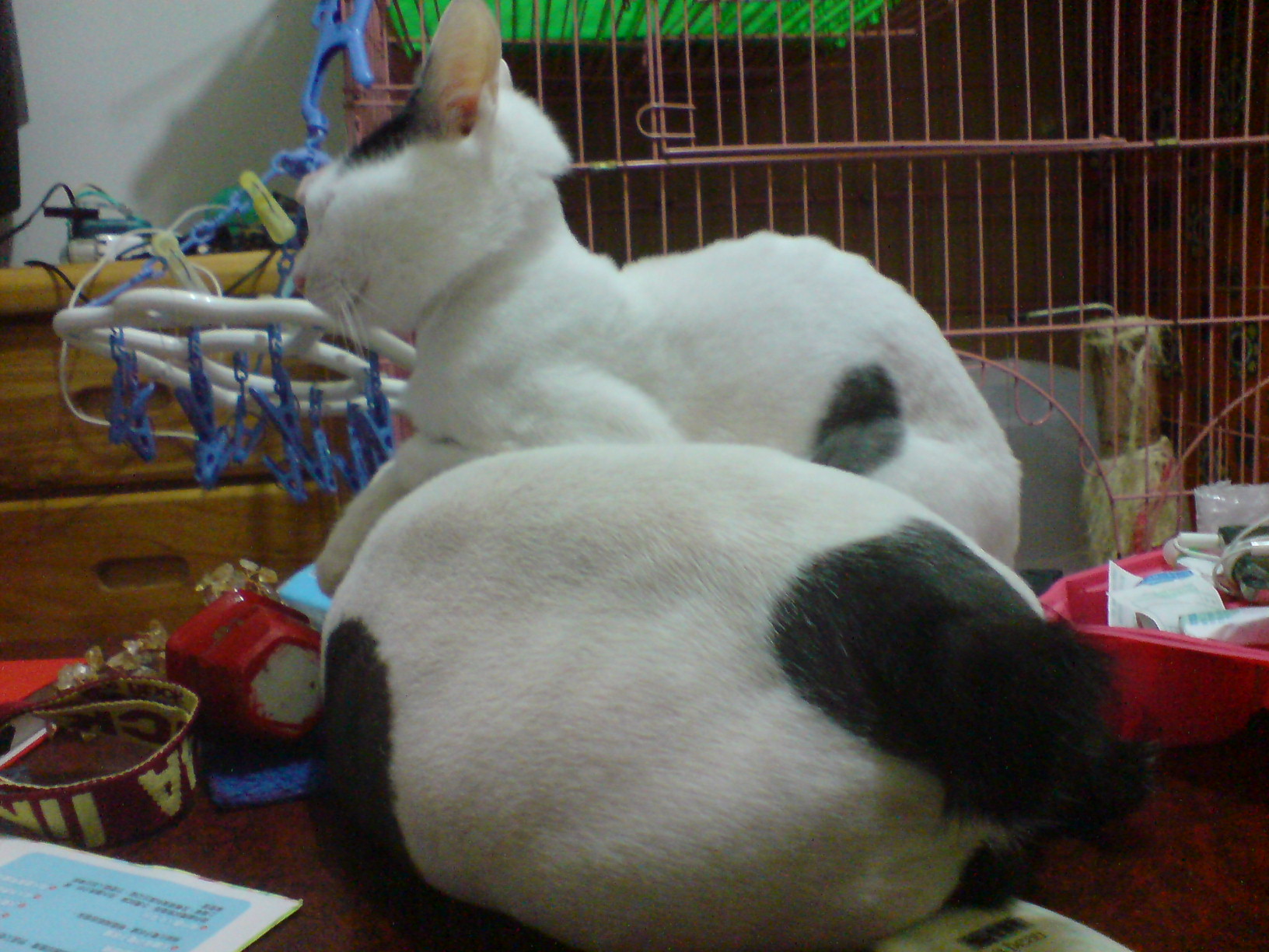 DSC00002.JPG DSC00002.JPG