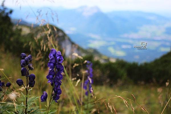 2014 0826 Grödig untersberg