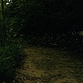 IMG_9506.JPG