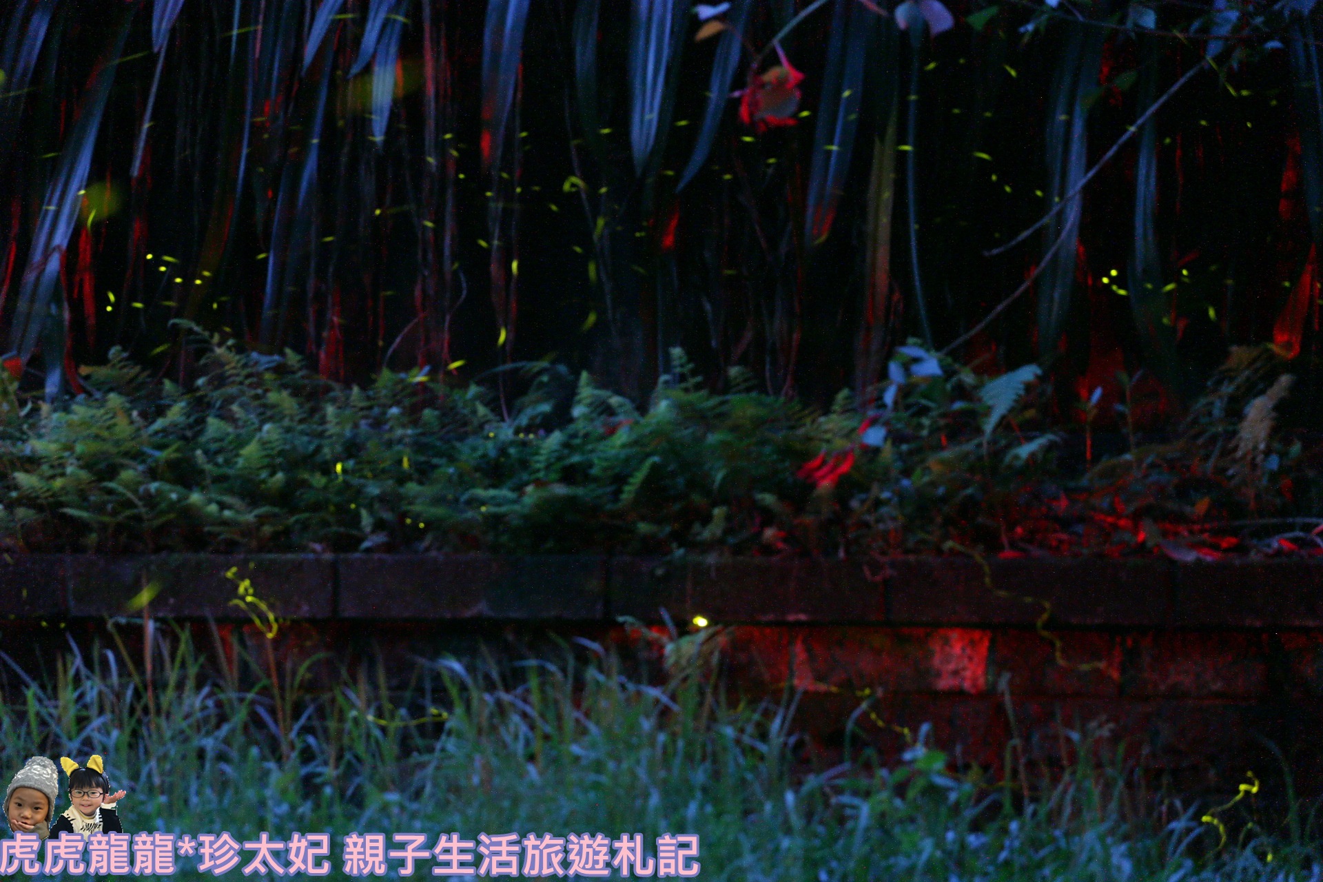 IMG_3957.JPG IMG_3957.JPG