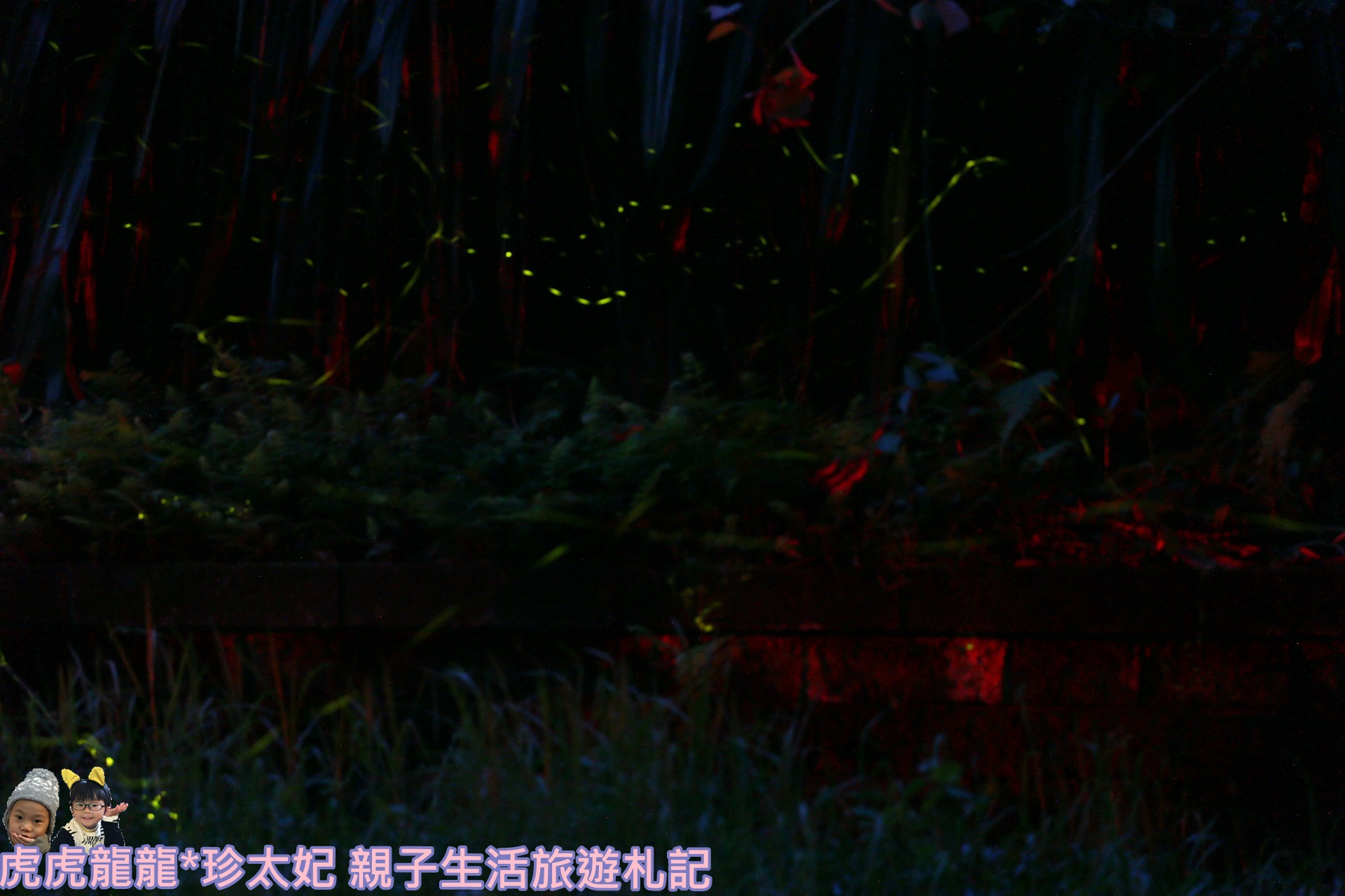 IMG_3958.JPG IMG_3958.JPG