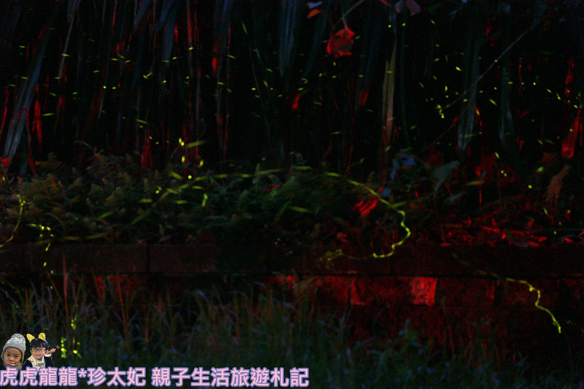 IMG_3959.JPG IMG_3959.JPG