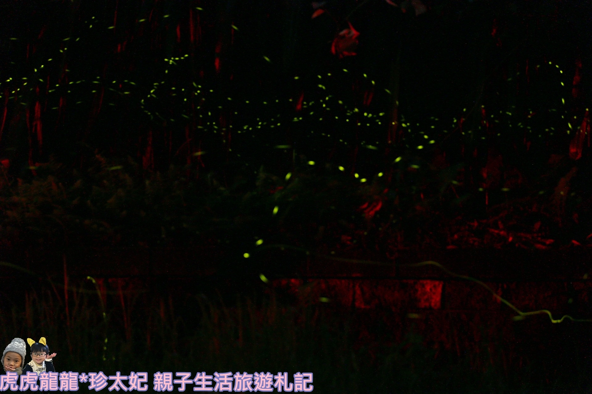 IMG_3962.JPG IMG_3962.JPG