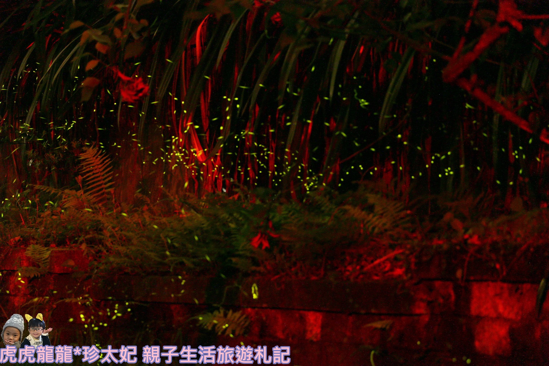 IMG_3968.JPG IMG_3968.JPG