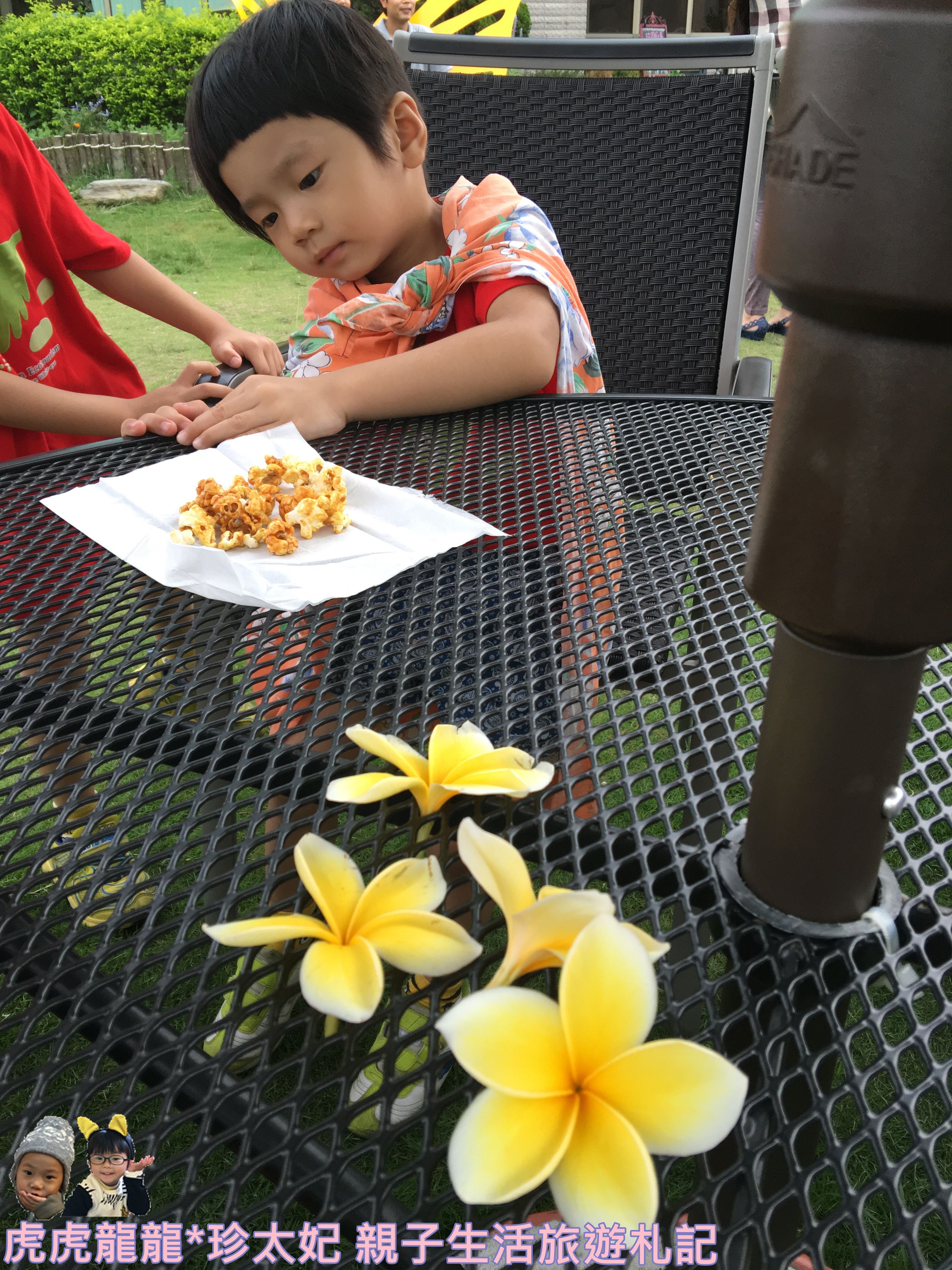 IMG_1801.JPG IMG_1801.JPG