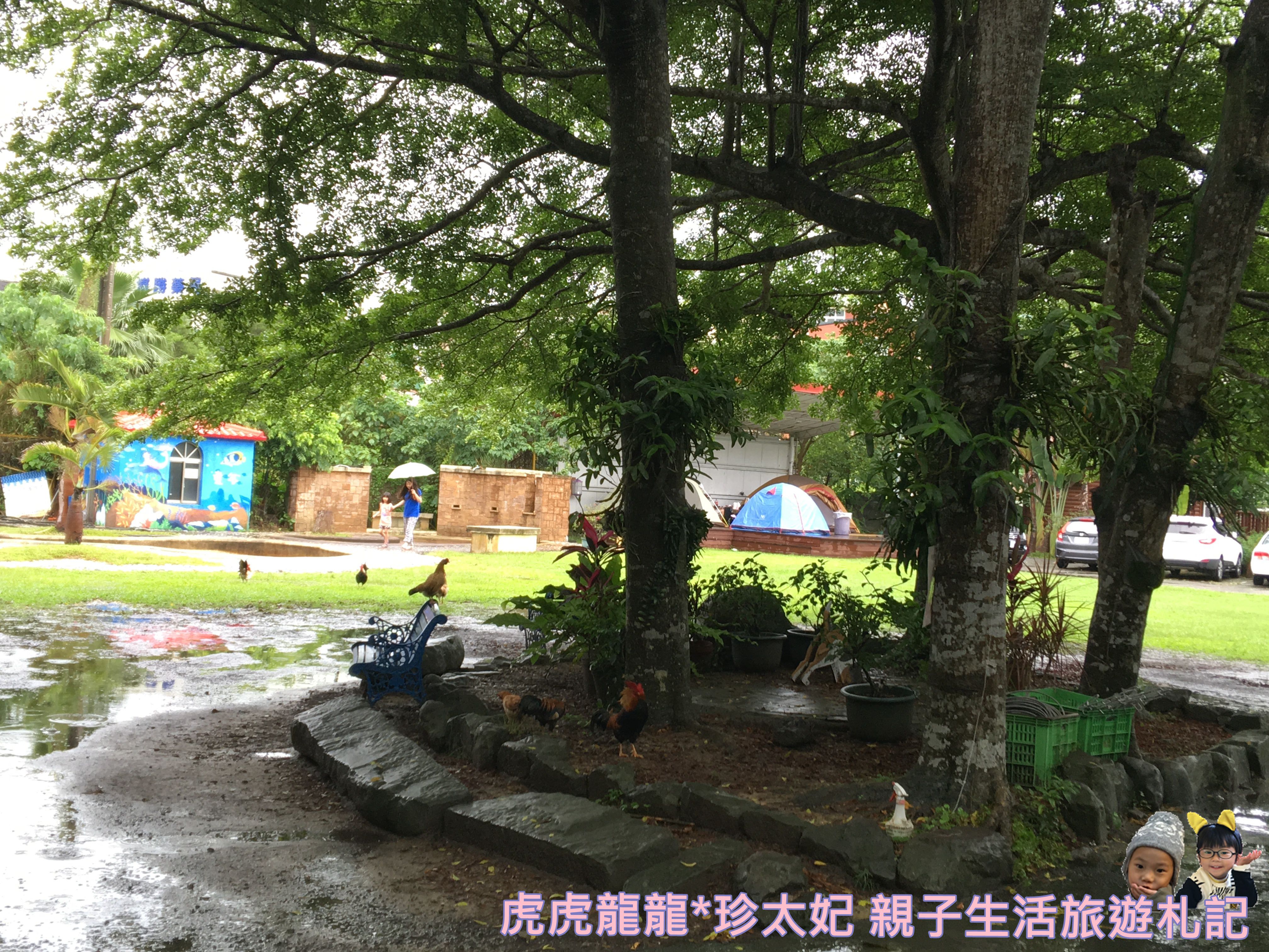 IMG_1871.JPG IMG_1871.JPG