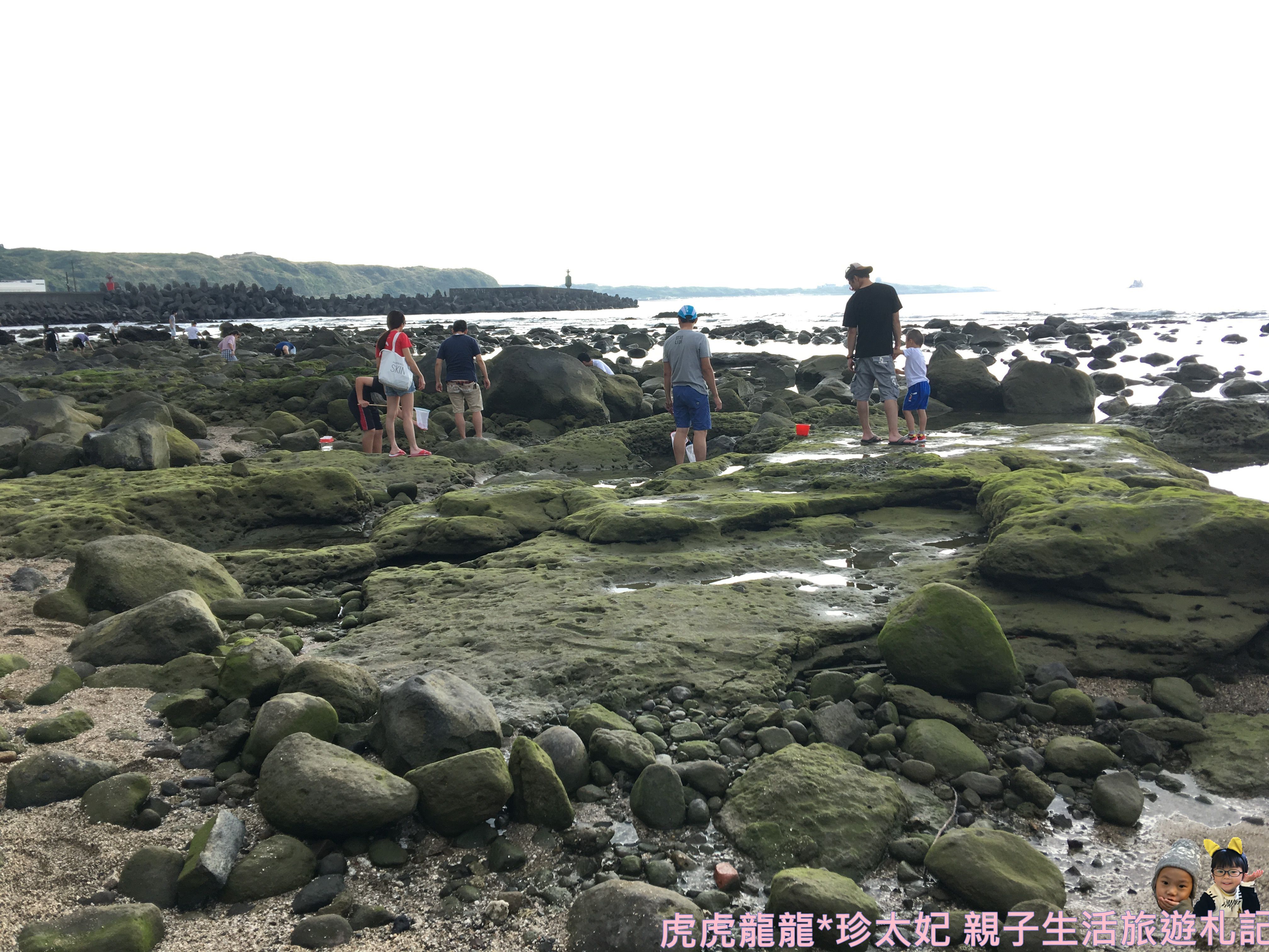 IMG_2612.JPG IMG_2612.JPG
