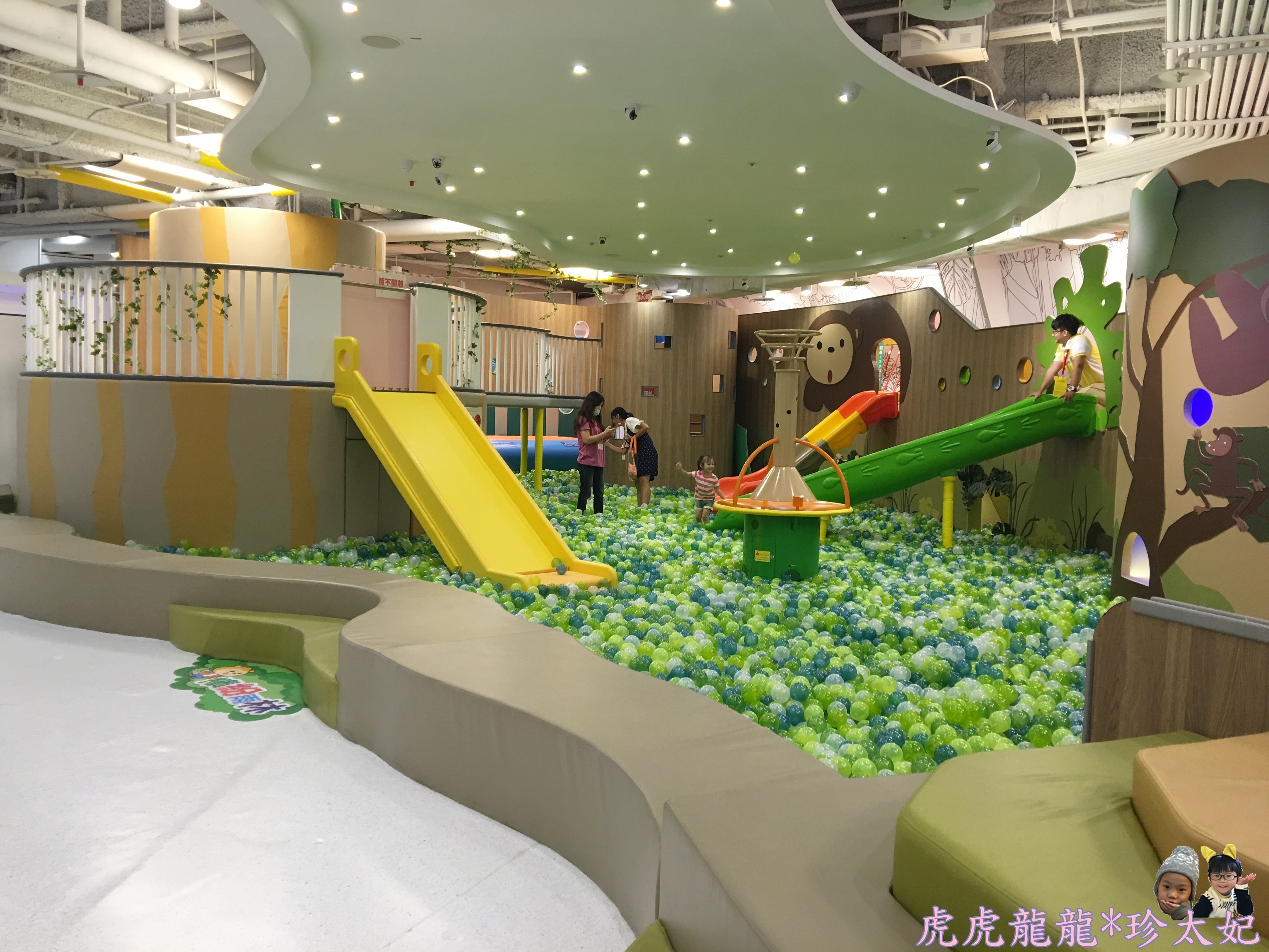 IMG_6713.JPG IMG_6713.JPG