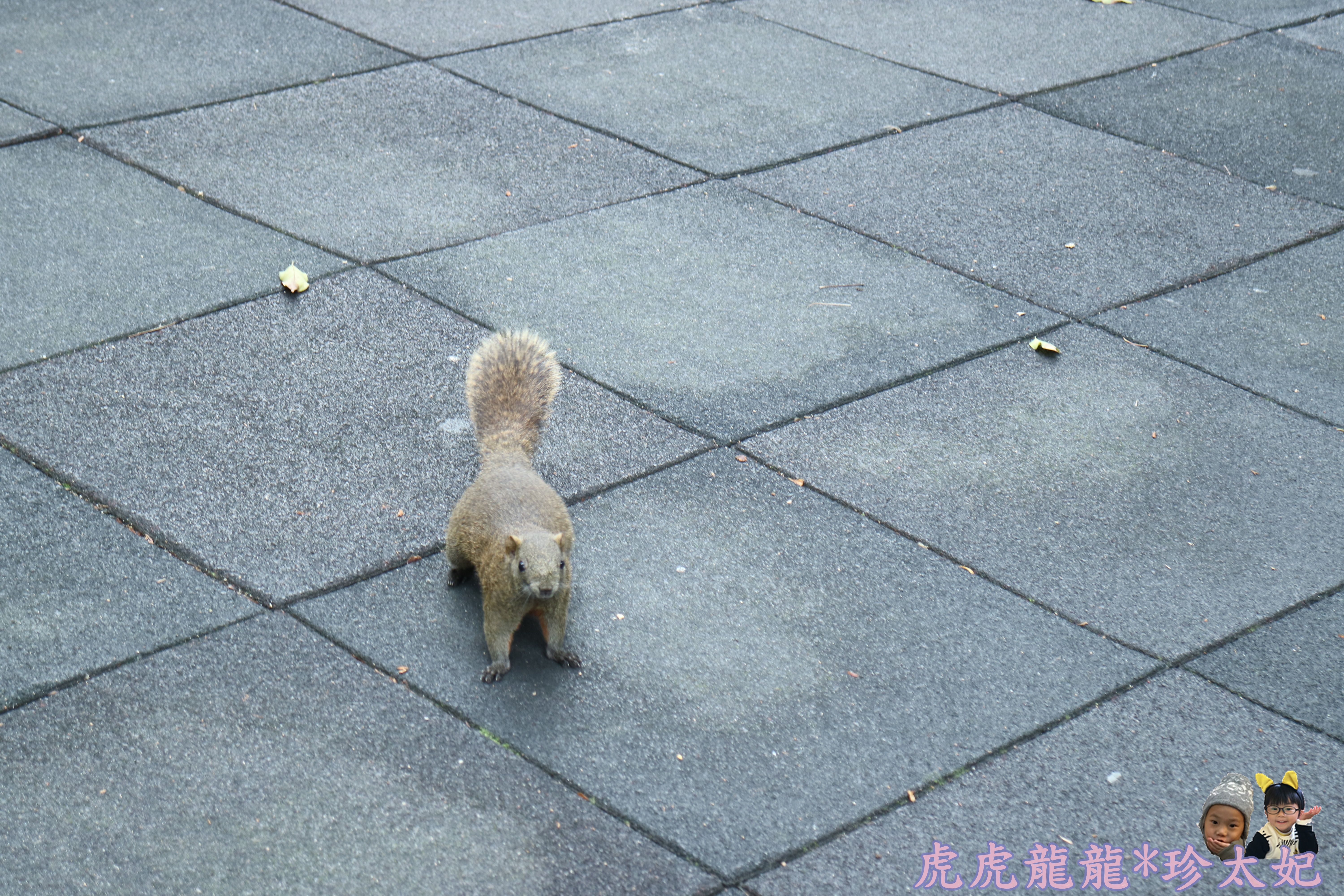 IMG_2220.JPG IMG_2220.JPG