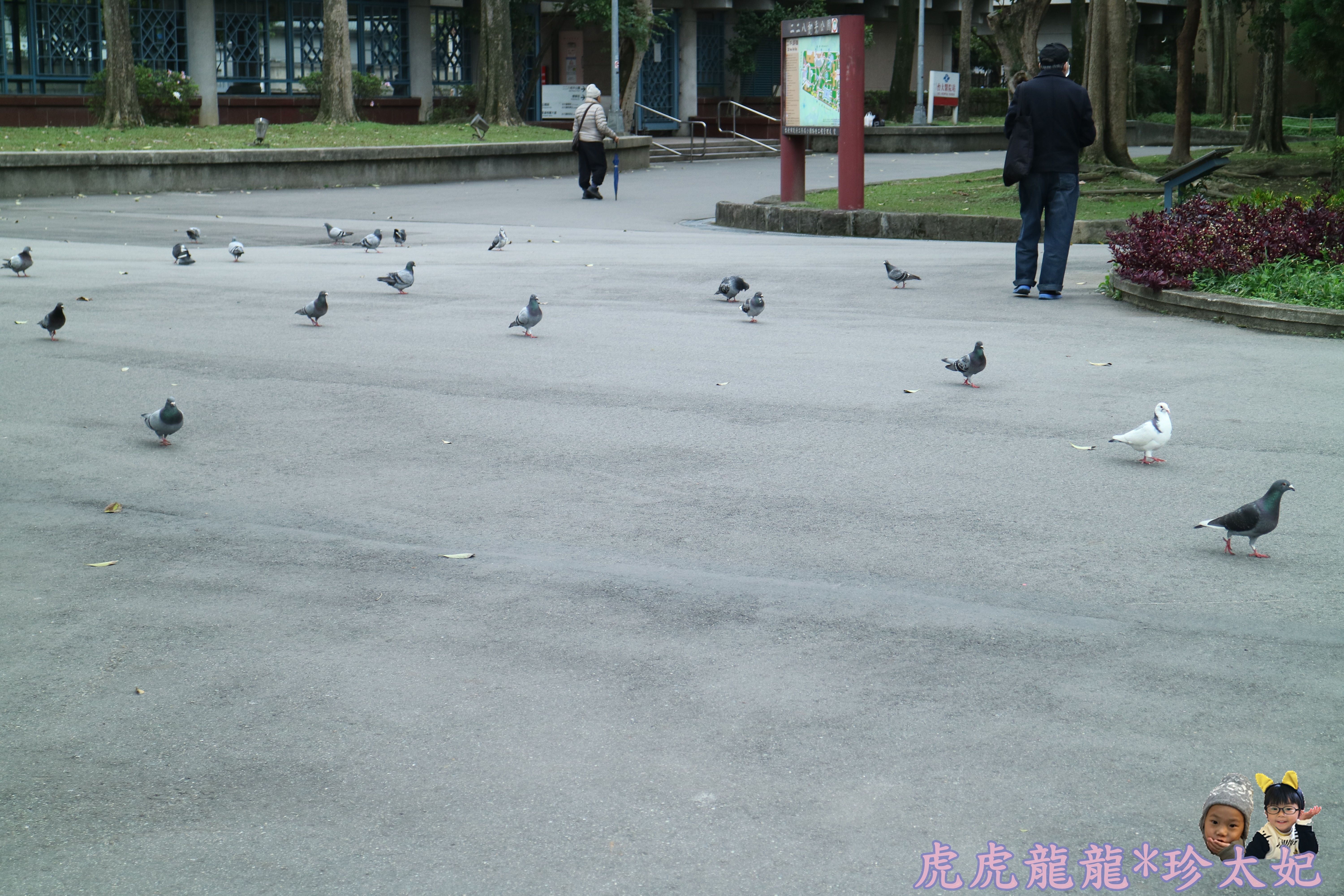 IMG_2236.JPG IMG_2236.JPG