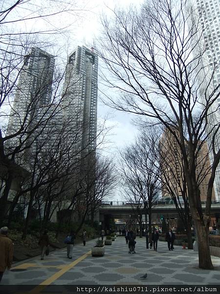 DSCF1271 DSCF1271