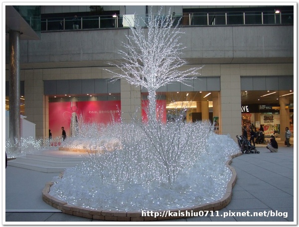 DSCF6665.JPG DSCF6665.JPG