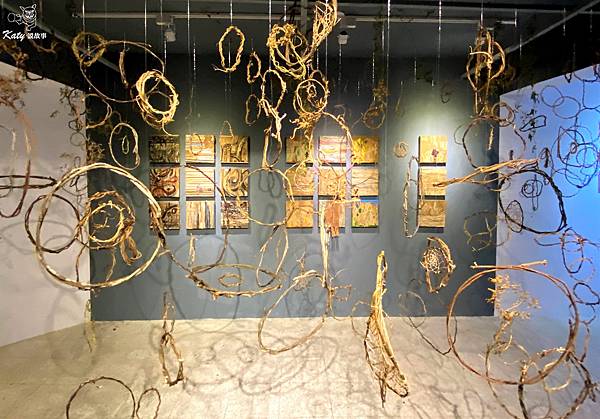 IMG_6871.jpg IMG_6871.jpg