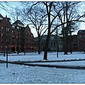 Harvard Yard