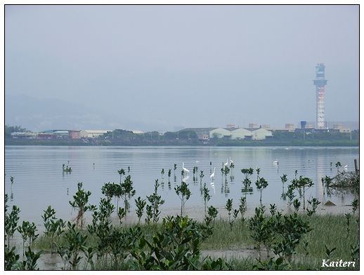 淡水河