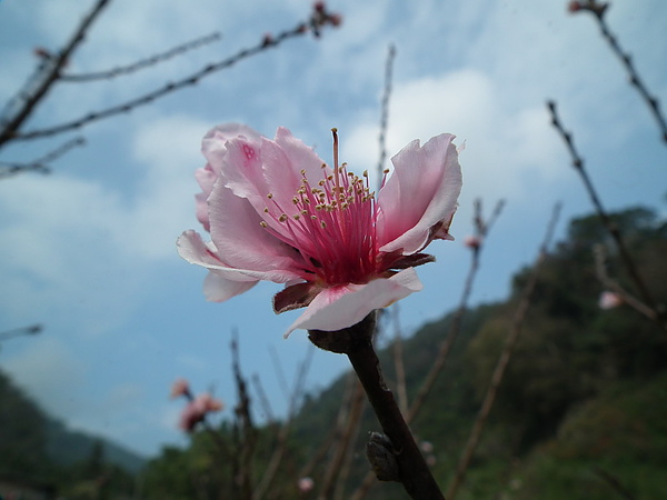 DSCF8770.JPG