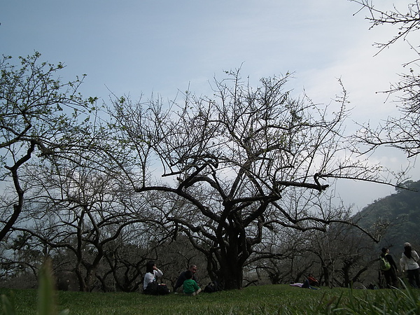 DSCF8811.JPG