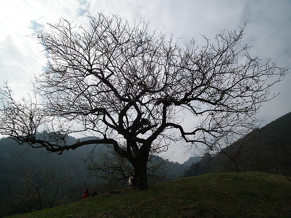 DSCF8765.JPG