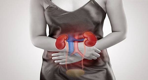 women-kidneys-655x353.jpg